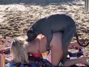 A passionate love at the beach