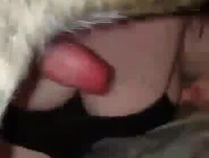 Hot BBW with huge boobs sucks dog