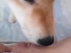 Teen Lets a Dog Lick her Pussy