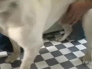 Three men will subdue this young Asian girl (unmasked)