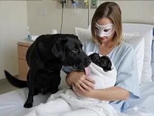 To get pregnant by a