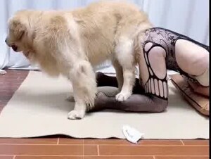 Asian teen girl play with dog 2