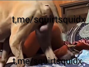 Just amazing 🤩 😍