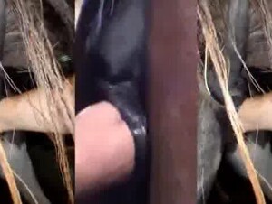 11 minutos de bucetas de eguas