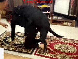 Asian couple first try dog in a party 1