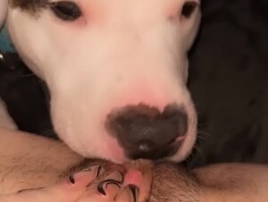 Teen having fun with her dog