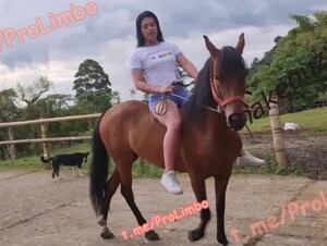 latina deepthroat horse