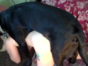 Dog fucks naked blonde hard enough to make her come