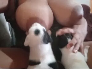 Breastfeeding Lactancia grupo telegram