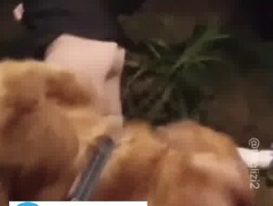 Asian beautiful wife dog fuck 3