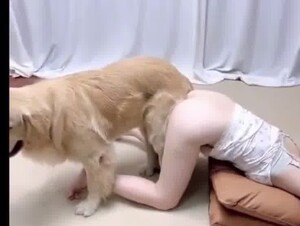 Asian nice girl connecting with dog 1