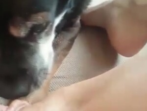 Horny girl getting licked