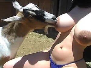 Curvy young Arab Muslim slut breastfeeding her goat