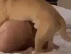 Teen slut making for with k9