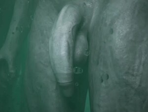 My Wife fucks a stranger with a massive Cock 3D Hentai