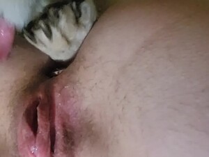 Horny pet took my virginity