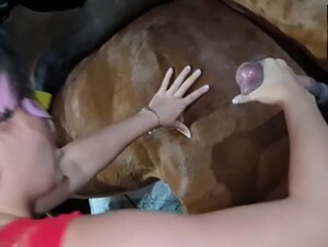 The best HORSE CUMSHOT in history