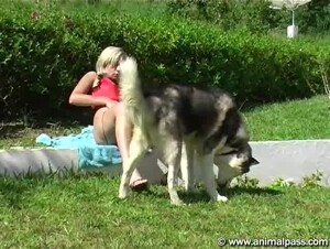 Insolent women share the furry dog dick together