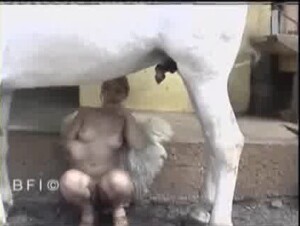 Slip Slip, Naye Naye