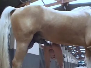 Fierce Obsession: Go Beyond the Limits of Animal Desire (unmasked)