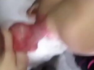 Time to suck dog's dick