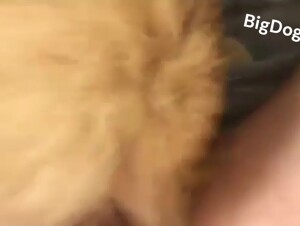 Breeding My Bitchboy