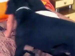 Brunette throats dog's entire cock and wants to swallow