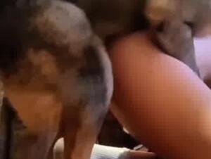 Living room mount 🐾