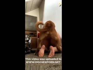 My dog fucks me daily