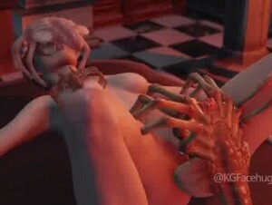 hentai spider insect fuck