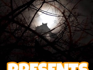 Telegram @knottyheaven