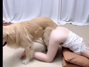 Korean young girlfriend connecting with dog 1