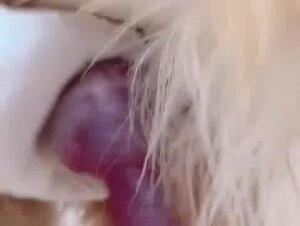 Asian young girlfriend drinking dog's semen