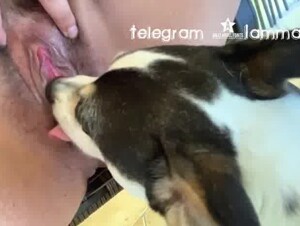 Lonely mommy deep licking #1