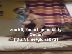 Beastiality ZOO art k9