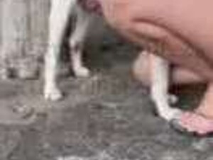 Cogiendo en el patio