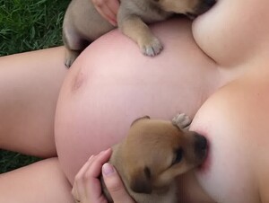 breastfeeding my puppies with pregnancy milk