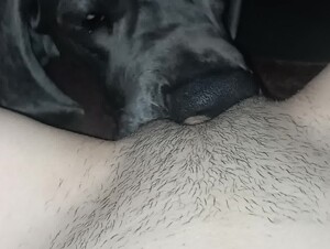 Szexpartnerem, és a kutyám!