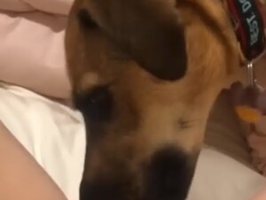 I'm backkkk <3 telegram:@Scarlet_k9