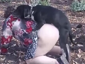 Dogs fuck bbw sluts