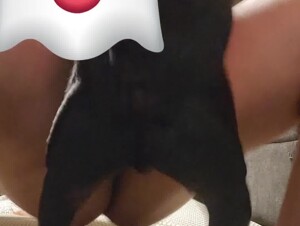 Missionary with Small Male Dog