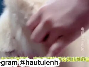 中国女孩与狗发生性关系 2