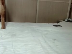 Asian girl letting her horny dog fuck her tight cunt.