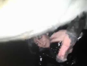 Drunk Women Suck Horse