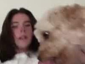 Dog Licking Tranny Cock