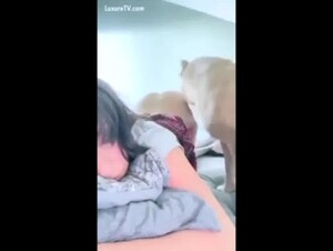 Amateur Teen Licked & Fucked by Pitbull (Upscaled + Noise Reduction)