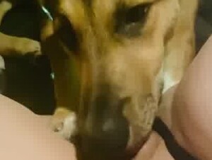 Dog Licks Moaning Teen in Car (Upscaled + Noise Reduction)