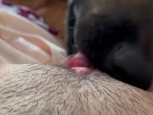 Teen lets her puppy lick her pussy