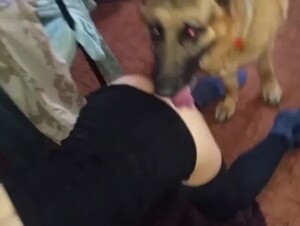 Girlfriend & German Shepherd Sex