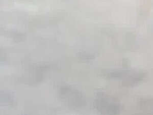 girl play with dog part 1